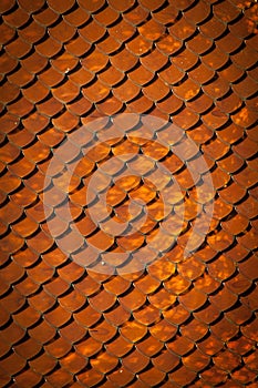 Roof of ancient Buddhist temple