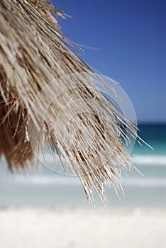 Roof of beach cabana