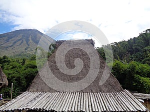 Roof of Bena Bajawa Traditional Straw House photo