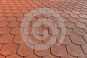 The roof with bituminous coating