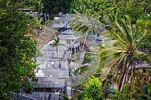 Roof bungalows in the palm jungle