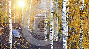 Roof with a chimney on the background of autumn leaf fall