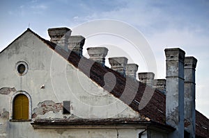 Roof and chimneys