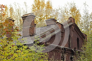 Roof with chimneys in an old brick building, trees with bright autumn foliage in the background