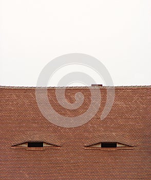 Roof With Chinese Eyes (Transilvania)