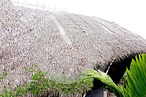 The roof of the cottage is made of straw.
