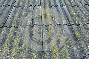 Roof of a country house, covered with gray slate, close-up. Old roof covered with slate. Green moss grows between slate waves.