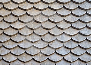 Roof covered with wooden tile. Fragment