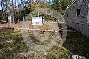 Roof damage from tree falling