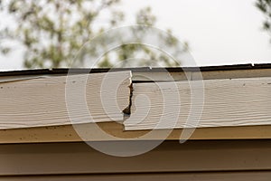 Roof damage from tree falling