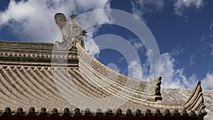 Roof decorations on the territory Giant Wild Goose Pagoda, is a Buddhist pagoda located in southern Xian Sian, Xi`an, China