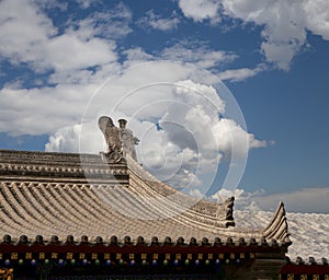 Roof decorations on the territory Giant Wild Goose Pagoda--Xian (Sian, Xi'an)