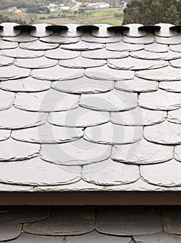 Roof detail