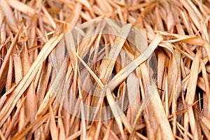 Roof from dried leaves of the nipa palm