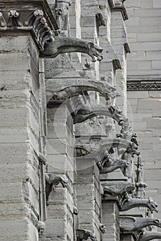 Roof figures of scary gargoyles at main facade of Notre Dame de Paris cathedral in Paris, France, closeup, details