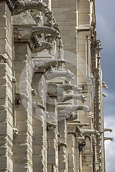 Roof figures of scary gargoyles at main facade of Notre Dame de Paris cathedral in Paris, France, closeup, details