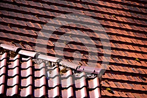 Roof with flat roof tiles and ridge tiles in the foreground and beaver tile roof behind,  1
