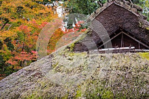 Roof of Gassho style house