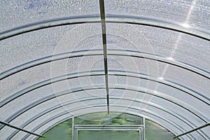 Roof of green house from the inside