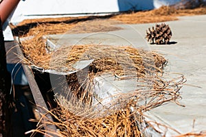 Roof gutter clogged with leaves, pine needles and debris