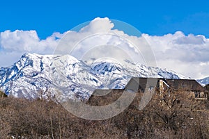 Roof of a home seen over the row of leafless hibernating trees in winter