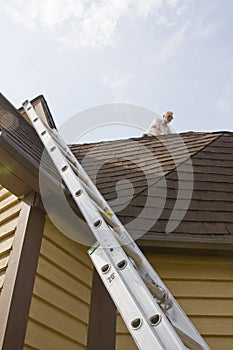 Roof inspector