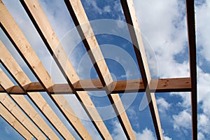 Roof Joists