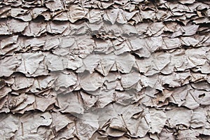 Roof made from dry leaves