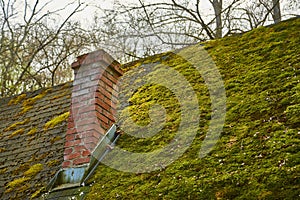 Roof with moss growing