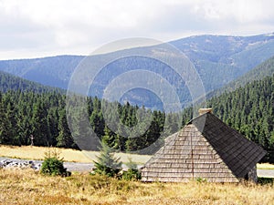 Roof of a mountain hut on a meadow on a ridge with dry grass, with forest and blue sky in the background on an autumn sunny day
