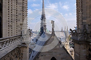 the roof of the Notre-Dame de Paris cathedral