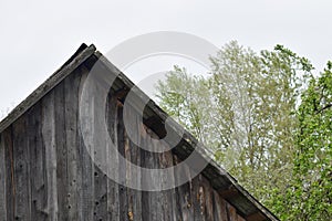 The roof of an old barn in the village against the background of green trees