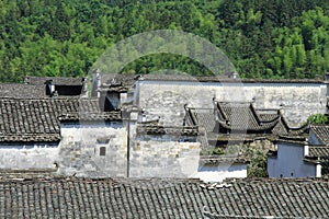 Roof of old house