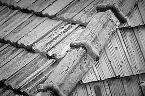 Roof with old tiles