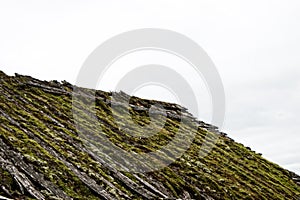 The roof of an old Veps house