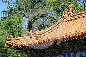 roof of a pavilion at the summer palace in beijing (china)