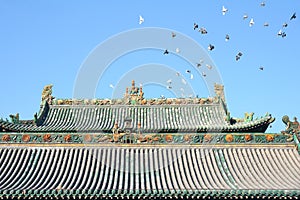 Roof and pigeons