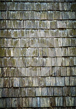 Roof Shingles Texture