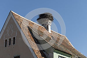Roof and stork nest