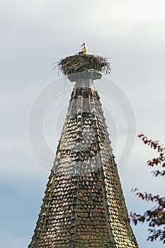 On the roof of the stork`s nest