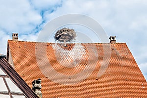 Roof with Storks Nest