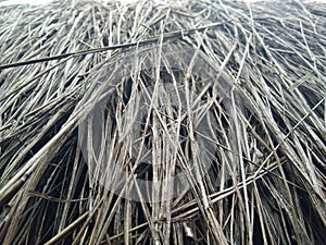 Roof of old tatched roof house. photo