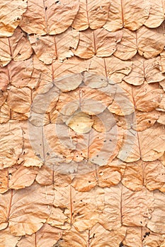 Roof thatching using forest leaves.