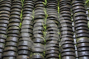 Roof Tile of Water Town Building