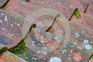 Roof tiles on old house closeups