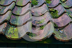 Roof tiles on old house closeups