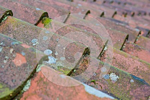 Roof tiles on old house closeups