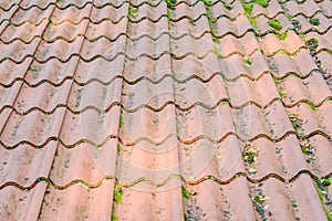 Roof tiles on old house closeups