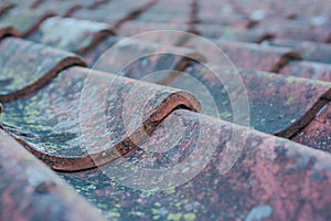 Roof tiles on old house closeups