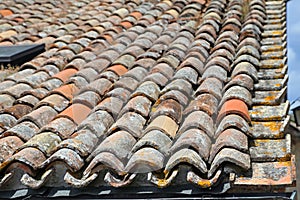 Roof tiles of a roof